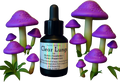 Clear Lungs Herbal Tincture