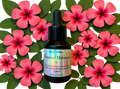 Tropical Hibiscus Tincture
